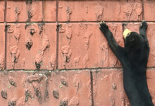 音が二重に録れるんですが…