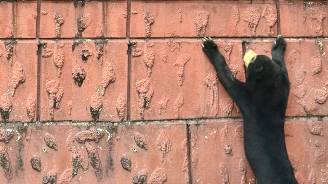 音が二重に録れるんですが…